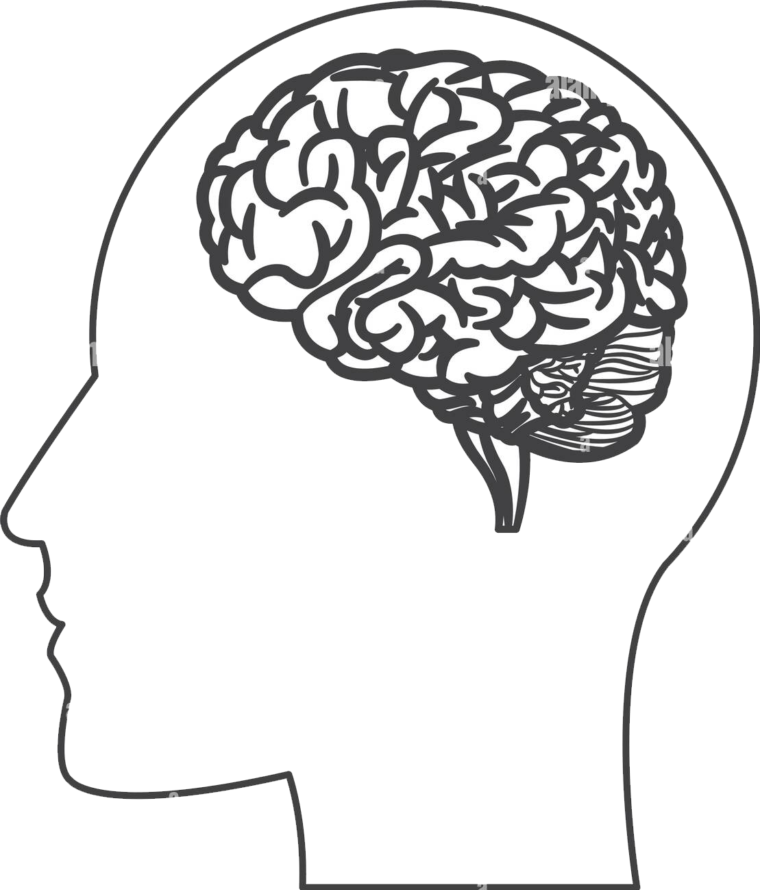Head silhouette with brain illustration